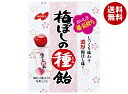 ノーベル製菓 梅ぼしの種飴 30g×6袋入| 送料無料 お菓子 あめ キャンディー 袋 うめ