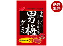 ノーベル製菓 男梅グミ 38g×6袋入| 送料無料
