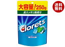 モンデリーズ・ジャパン クロレッツXP クリアミント スタンドパウチ 250g×6袋入| 送料無料 お菓子 ガム パウチ クロレッツ Clorets ミント