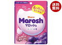 カンロ マロッシュ グレープソーダ味 50g×6袋入×(2ケース)| 送料無料 お菓子 マシュマロ ぐみ ぶどう