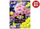 ハウス食品 フルーチェ 濃厚ブルーベリーブドウ 150g×30個入×(2ケース)| 送料無料 デザート お菓子 おやつ 菓子材料 ぶどう 葡萄