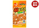 でん六 Eサイズ柿ピーナッツ 60g×10袋入×(2ケース)| 送料無料 お菓子 袋 豆菓子 おつまみ