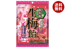 リボン 生梅飴 90g×12袋入×(2ケース)| 送料無料 お菓子 あめ キャンディー 飴 袋