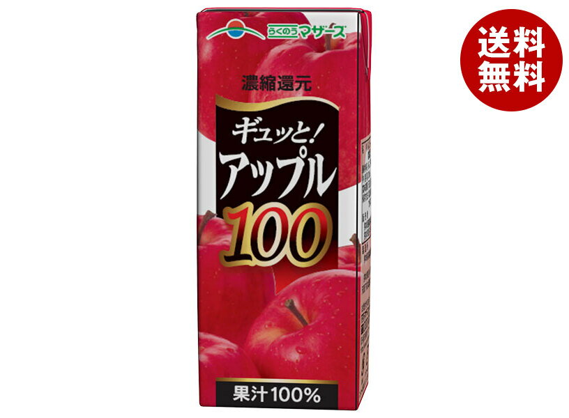 らくのうマザーズ アップル100 200ml紙パック×24本入×(2ケース)｜ 送料無料 果実飲料 りんご 果汁 紙パック