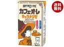 らくのうマザーズ カフェオレ キャラメリゼ 250ml紙パック×24本入| 送料無料 カフェオレ パック コーヒー 珈琲