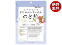 パイン ドモホルンリンクル のど飴 80g×6袋入×(2ケース)| 送料無料 あめ アメ のど飴 ドモホルンリンクル 飴