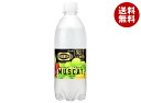 アサヒ飲料 ウィルキンソン タンサン ザ フルーティーマスカット 490mlペットボトル×24本入| 送料無料 強炭酸 炭酸水 ソーダ マスカット
