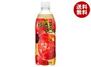 アサヒ飲料 三ツ矢 特濃アップルスカッシュ 500mlペットボトル×24本入| 送料無料 炭酸 果実 果物 フルーツ アップル