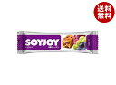 【賞味期限2025.09かそれ以降】大塚製薬 SOYJOY(ソイジョイ) 3種のレーズン 30g×48本入×(2ケース)| 送料無料 一般食品 バランス栄養食品