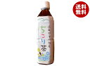 【賞味期限2025.10.13かそれ以降】サラダコスモ ちこり茶 500mlペットボトル×24本入×(2ケース)| 送料無料 茶飲料 健康茶 PET ノンカフェイン ノンカロリー