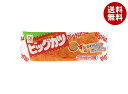 すぐる ビッグカツ 1枚×30個入×(2ケース)| 送料無料 お菓子 駄菓子 魚肉加工食品 ソース味