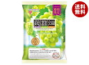 マンナンライフ 蒟蒻畑 シャインマスカット味 (25g×10個)×12袋入| 送料無料 こんにゃくゼリー シャインマスカット 個装