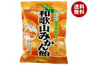 川口製菓 和歌山みかん飴 100g×10袋入 メーカー 問屋直送| 送料無料 お菓子 おやつ 飴 あめ キャンディ みかん ミカン 蜜柑