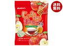 メロディアン じゅわぽか蜜りんご紅茶 75g(15g×5P)×20袋入| 送料無料 希釈用 ポーションタイプ ハニー はちみつ シナモン リンゴ 紅茶