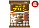 井村屋 袋入 コーヒー牛乳プリン 4個×10袋入×(2ケース)| 送料無料 プリン 袋 洋菓子 お菓子