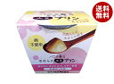 ヤマク食品 大豆プリン バニラ 100g×12個入×(2ケース)| 送料無料 デザート 洋菓子 プリン 大豆 卵不使用 甘酒