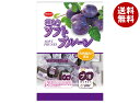 共立食品 ソフト種抜きプルーン ピロ 110g×6袋入| 送料無料 お菓子 おつまみ ドライフルーツ