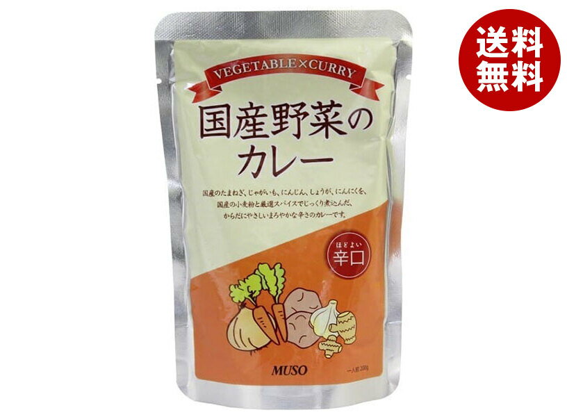 ムソー 国産野菜のカレー 辛口 200g×20袋入×(2ケース)｜ 送料無料 食品 カレー レトルト 辛口