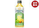 キリン 午後の紅茶 FRUITS ICE TEA 白ぶどうとレモン 500mlペットボトル×24本入×(2ケース)| 送料無料 紅茶 フルーツティー 午後ティー...