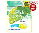 ネコポス カネカ食品 岡山マスカットグミ ラブレ乳酸菌入 40g×10袋入| 全国送料無料 お菓子 グミ 果汁 ジュレ ラブレ乳酸菌 ラブレ 乳酸菌 チャック付き 腸内環境 マスカット