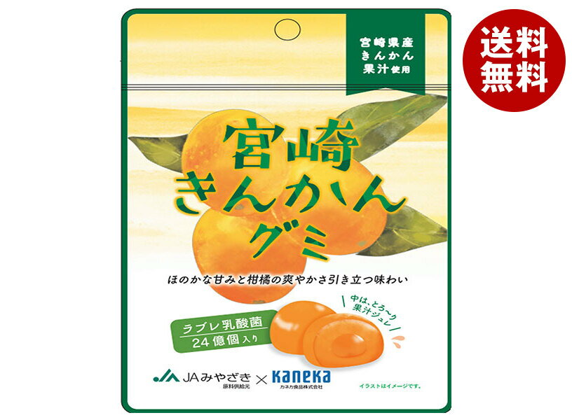 カネカ食品 宮崎きんかんグミ ラブレ乳酸菌入 40g×10袋入｜ 送料無料 お菓子 グミ 果汁 ジュレ ラブレ乳酸菌 ラブレ 乳酸菌 チャック付き 腸内環境 金柑 キンカン(4)