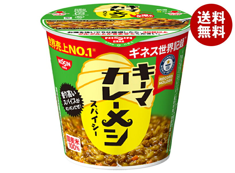 日清食品 日清 キーマカレーメシ スパイシー 105g×6個入×(2ケース)｜ 送料無料 一般食品 インスタント食品
