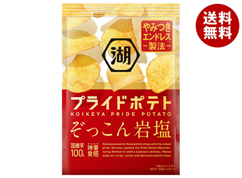 コイケヤ PRIDE POTATO(プライドポテト) ぞっこん岩塩 55g×12袋入| 送料無料 お菓子 スナック菓子 塩 しお味