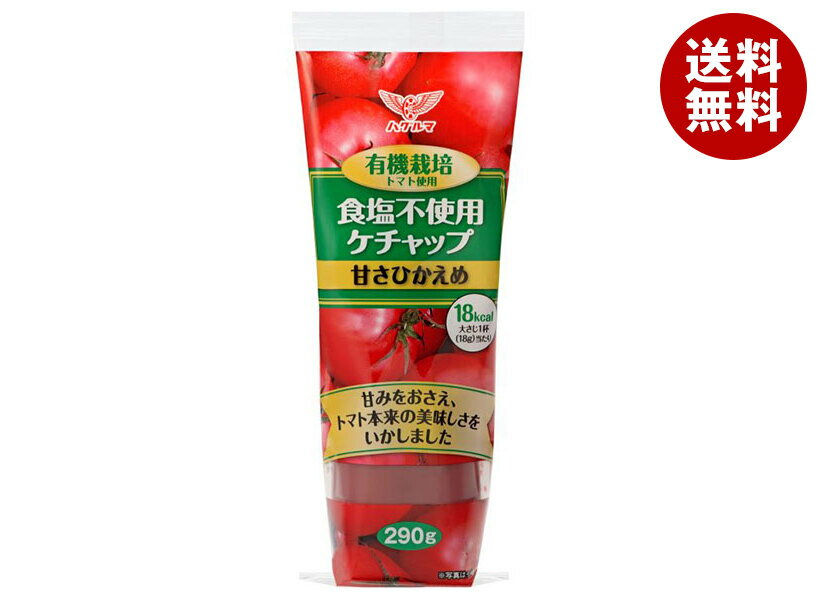 ハグルマ 有機栽培トマト使用 食塩不使用ケチャップ 290g×20本入×(2ケース)｜ 送料無料 調味料 ケチャ..