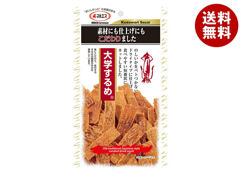 マルエス 大学するめ 20g×5袋入×(2ケース)｜ 送料無料 お菓子 珍味 おつまみ スナック珍味 のしいか 甘辛味 一口サイズ 昔懐かしい