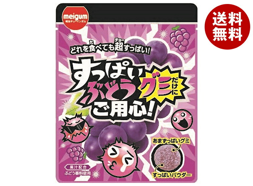 明治チューインガム すっぱい ぶどうグミだけにご用心 28g×10袋入｜ 送料無料 お菓子 キャンディー グミ ぶどう おやつ