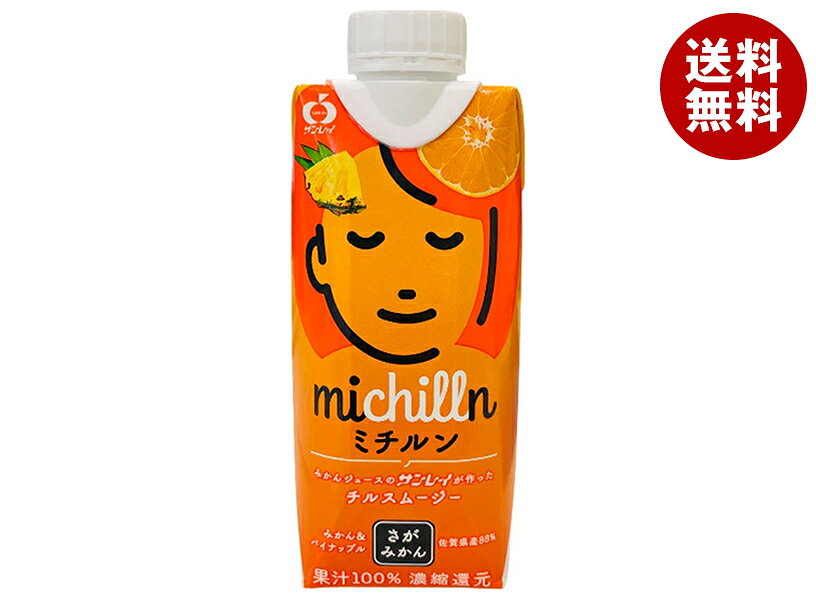 JAビバレッジ佐賀 ミチルン 330ml紙パック×12本入×(2ケース)｜ 送料無料 フルーツ みかん パインアップル