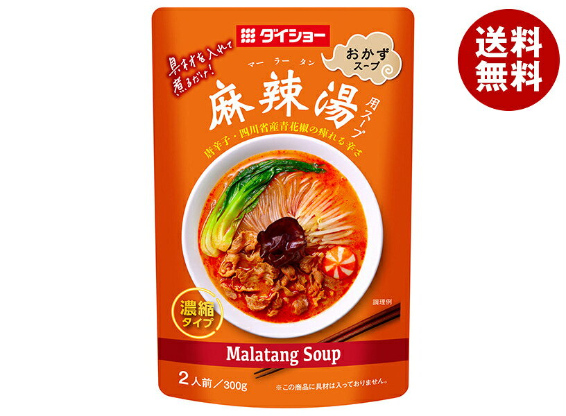 ダイショー 麻辣湯用スープ 300g×20袋入×(2ケース)｜ 送料無料 一般食品 調味料 スープ 麻辣 麻辣湯 麻辣用スープ