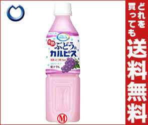 【送料無料・2ケースセット】カルピス フルーツカルピス 完熟ぶどう＆カルピス500mlPET×24本入×（2ケース）