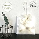 【最大10%OFFクーポン配布中】サシェ ポプリ 花 ソラサシェ ソラフラワー サシェ SolaFlower Sachet 紐付き 天然ポプリ インテリア 装飾 玄関 ギフト プレゼント 造花