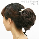 ウィッグ ポイントウィッグ ヘアピ