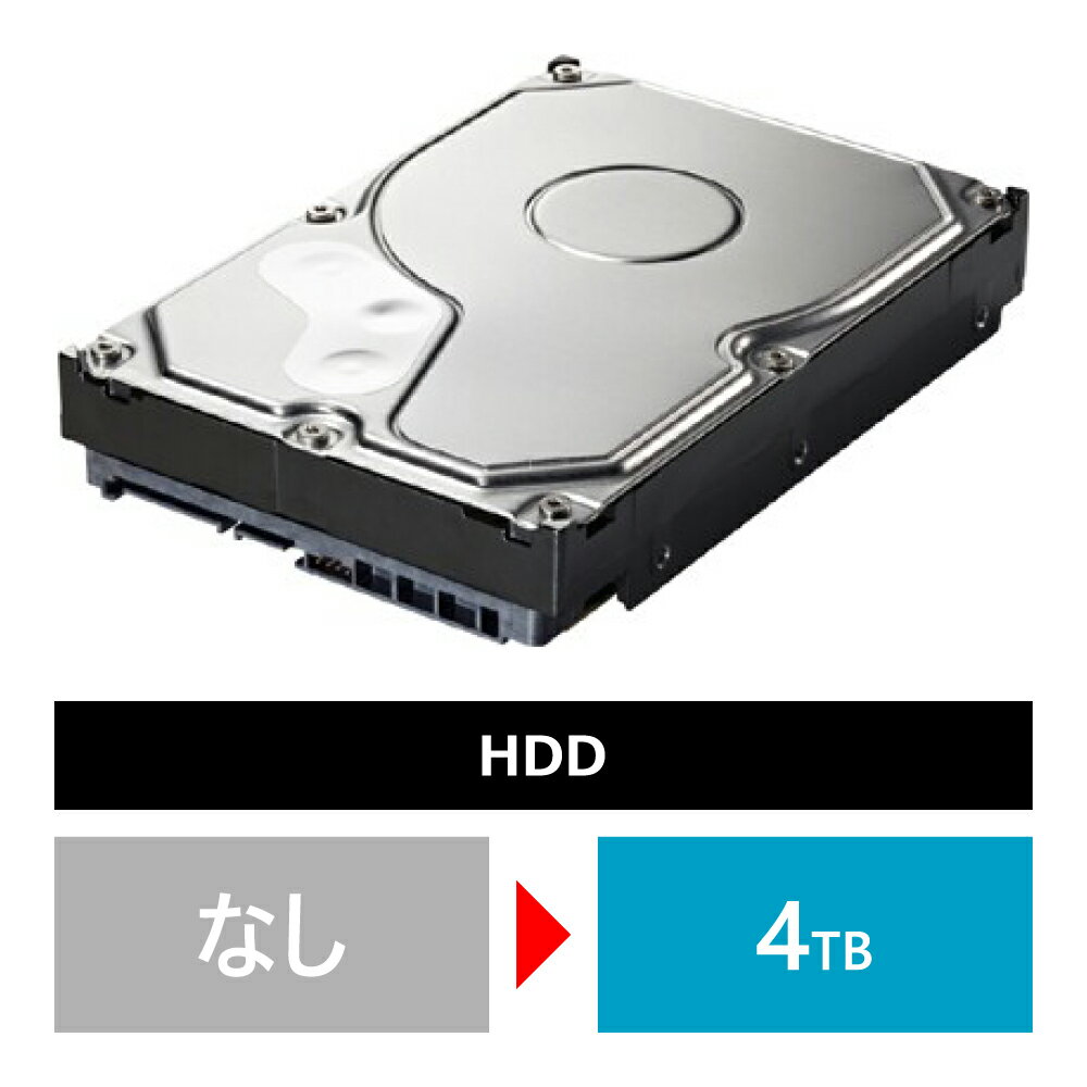 【同時購入オプション】【HDD】4TB (4000GB) 追