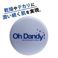 男の毛穴ケア 保湿 テカリ ベタつき 老け顔対策に 「1本で完了」の新エイジングケア。ダンディハウス オールインワンジェル | スキンケア メンズ メンズコスメ 化粧水 化粧品 クリーム 美容液 オールインワン オールインワンゲル メンズスキンケア 男性 ボディクリーム