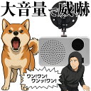 大音量 90db 防犯 屋外 センサー アラーム 番犬 犬 吠える 吠え声 鳴き声 MP3 撃退 威嚇 サイレン 人体検知 動体検知 人感センサー PIRセンサー 充電式 バッテリー 防犯対策 空き巣対策 不審者 工事不要 配線不要 老人