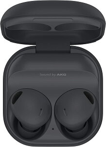 Samsung Galaxy Buds 2 Pro R510 磻쥹 ۥ  Υ󥻥  1ǯݾ