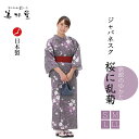 【1枚〜】【ゆかた&帯 2点セット】【ジャパネスクシリーズ・桜に乱菊】【4サイズ展開:S/M/L/LL】【女性向き】【クラシック】【和風】【桜】【乱菊】【パープ...