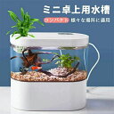LEDライトフィルターポンプ付き水槽セットアクアリウム コードレス 水族館 オーナメント 自由研究 LED照明 水槽 セット卓上 玄関 リビング LEDランプ ...