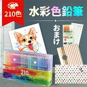 210色 水彩色鉛筆 硬質 大人の塗り絵 ファーバーカステル 子供の日 入学祝い 子供 プレゼント ギフト 入学 新学期 文房具 文具 ぬり絵 デッサン 画材 ...