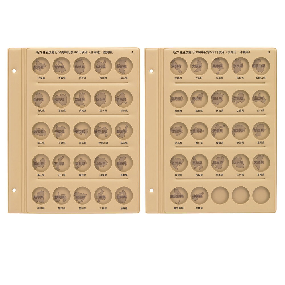 テージー 平成コインアルバム コイン台紙 C-38S1AB (2 枚 1 セット)