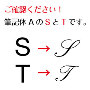 プラチナ万年筆　プレジール　中字 0.5mm 名入れ無料　インクが固まらないスリップシール機構搭載プレゼント・ノベルティーにオススメ！名入無料