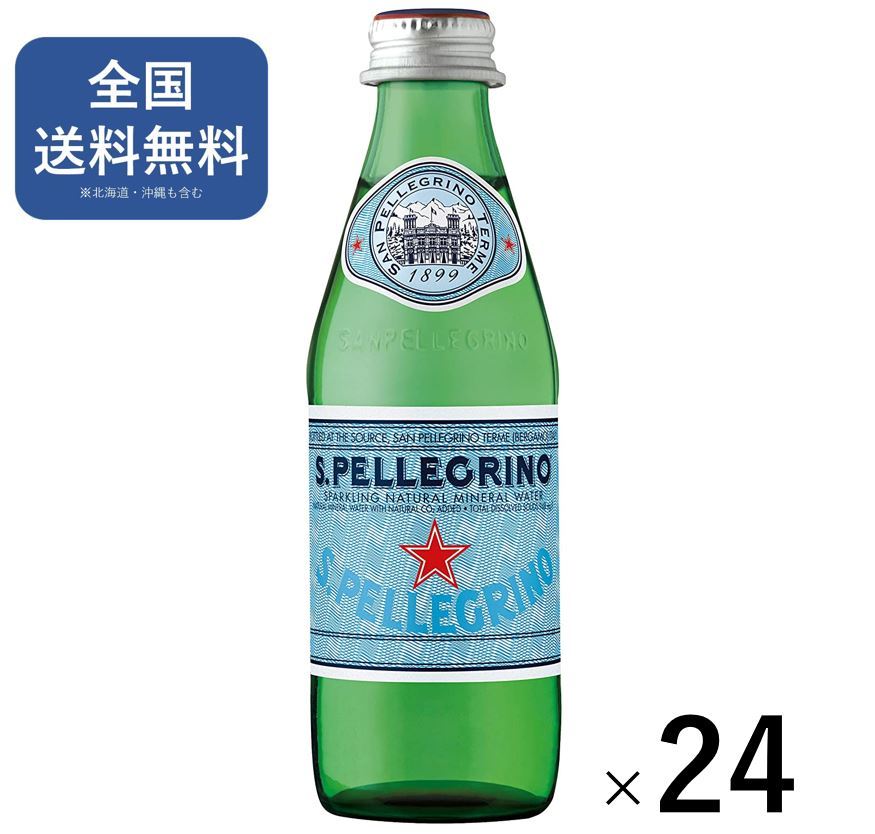 Sanpellegrino サンペレグリノ 炭酸入り ナチュラル ミネラルウォーター 250ml × 24本 [正規輸入品]