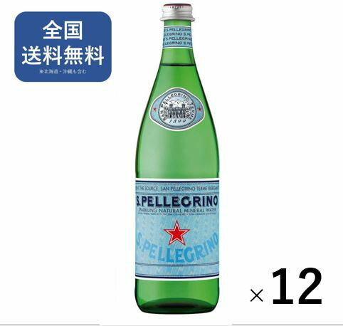 サンペレグリノ (S.PELLEGRINO) 炭酸水 瓶 750ml [直輸入品] ×12本