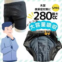 \閉店セール!/5400円→2700円半額【10日迄3日間限定在庫一掃SALE】男性用尿漏れ対策パンツ まだおむつを使っていますか おむつしかないと思っていませ...