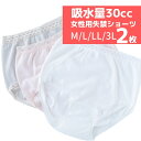 【ポスト投函便送料無料】【2枚組】【37674】【M/L/LL/3L】【大きいサイズ】女性用失禁ショーツ　尿漏れ（吸水量30cc）脇縫いなし失禁パンツ（日本製） 【敬老の日母の日プレゼント贈り物】【中失禁】【日本製】