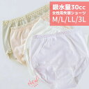 \閉店セール!/【8.9.10日限定!3日間限定在庫一掃SALE】【ポスト投函便送料無料】【37674】【M/L/LL/3L】【大きいサイズ】女性用失禁ショーツ...