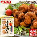 みたけ お米で作ったからあげ粉 90g 10個 送料無料 国産米粉 グルテンフリー 国産米粉使用 昆 ...